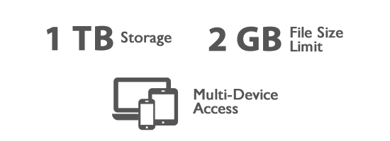 1 TB Storage, 2 GB File Size Limit, Multi-Device Access